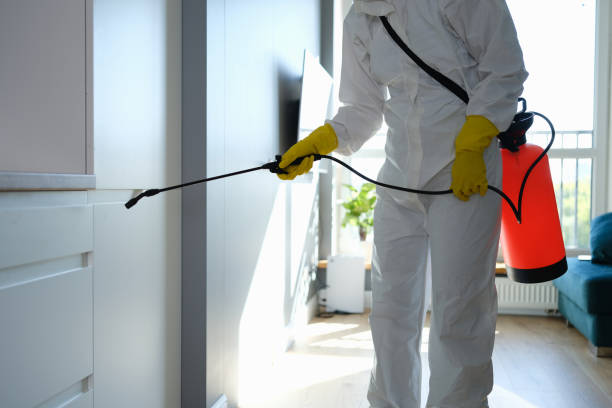 Mold Removal and Inspection in Clear Lake, SD
