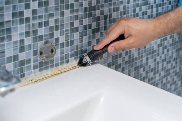 Best Toxic Mold Removal  in Clear Lake, SD